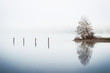 Tree reflection on a foggy lake