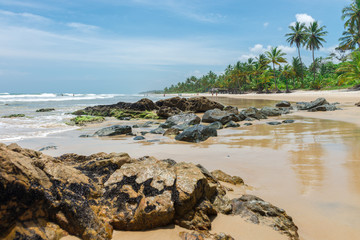 Canvas Print - Beautiful beach nature near Itacare in Bahia