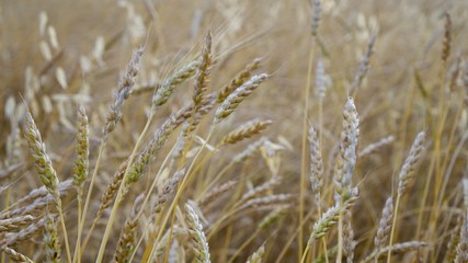 Naklejka na meble Rohstoffe