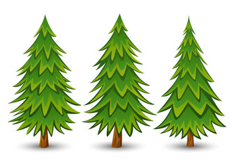 Green Pine trees set on a white background