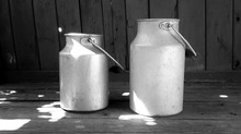 Vintage Aluminum Milk Cans On Wooden Floor On Old Wooden Boards Background. Black And White Photo