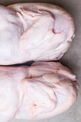 two fresh, raw bio chicken on grey background. Top view. Diet food