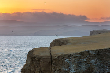 Wall Mural - Paracas