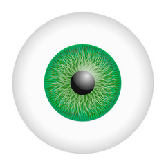 Wall Mural - Green iris eyeball mockup. Realistic illustration of green iris eyeball vector mockup for web design isolated on white background