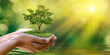 Leinwandbild Motiv environment Earth Day In the hands of trees growing seedlings. Bokeh green Background Female hand holding tree on nature field grass Forest conservation concept