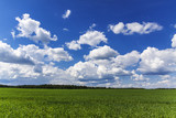 Fototapeta Tęcza - Clouds over a field and a forest