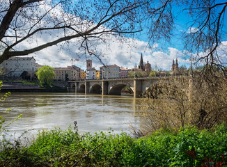 puente de piedra y ciudad de logroño en la Rioja, España, zona famosa por sus vinos y bodegas. Rio Ebro y vegetacion en primavera