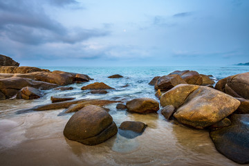 Canvas Print - Sea rocks on the beach in morning