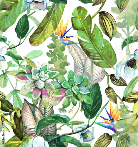 jednolity-wzor-akwarela-z-tropikalnych-kwiatow-magnolii-sukulentow-orchidei-waniliowych-lisci-tropikalnych-lisci-bananowca