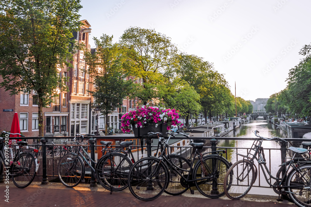 sunrise on the streets and canals of amsterdam - obrazy, fototapety, plakaty 