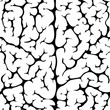 Seamless pattern brain