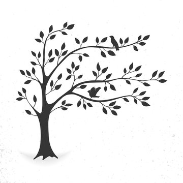 illustration tree with leaves and birds. silhouette on white background.