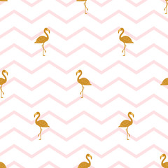 Fotofirana ładny moda piękny natura flamingo