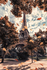 Wall Mural - autumn in paris near eiffel tower viewed from the champ de mars