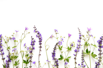 Wall Mural - Creative flat layout of wildflowers, composition top view.