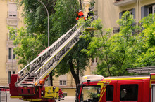 Firefighters On Aerial Ladder Cutting Branches Of A Tree