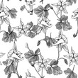 Seamless pattern with wildflowers on white background. Beautiful vector field blossom. White and black flowers monotone style.