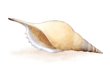 Watercolor sea shell 4