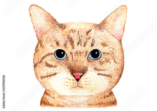 portret-brytyjskiego-kota-ilustracja-akwarela-brytyjski-kot-z-niebieskimi-ocza