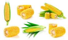 Corn On The Cob Kernels
