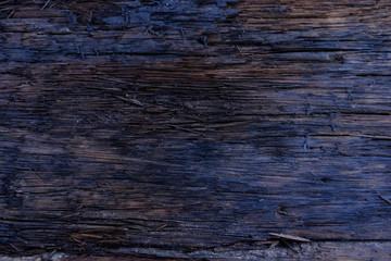 Close-up of Dark wood texture background with old natural pattern,Firewood surface.