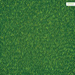 Green nature lawn grass texture and pattern background. Vector illustration.