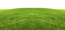 Green Grass Texture Background Isolated On White Background With Clipping Path.