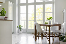 White Chairs At Wooden Table With Plant In Bright Dining Room Interior With Window. Real Photo