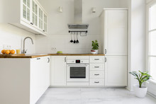 Silver Cooker Hood In Minimal White Kitchen Interior With Plant On Wooden Countertop. Real Photo