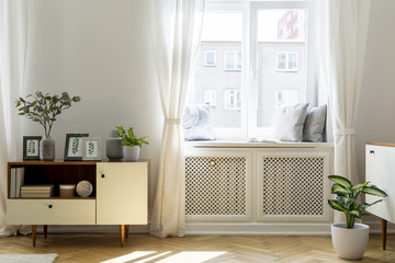 Plant on wooden cupboard in white living room interior with window. Real photo