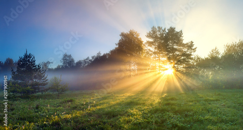 Fototapeta na szkło panorama pejzaż ze słońcem, lasem i łąką o wschodzie słońca