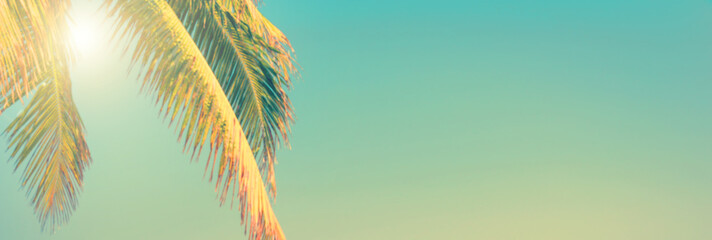Wall Mural - tropical beach and palm tree panoramic background, sunny sky, vintage summer concept with copy space