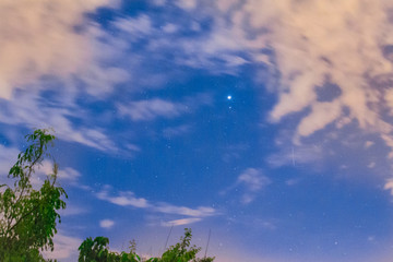 Wall Mural - night sky and trees