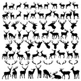 Fototapeta Konie - vector large collection of deer silhouettes