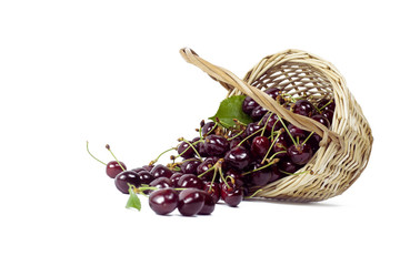 Wall Mural - .Basket with seasonal cherry fruit on isolated white background.