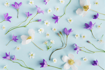 Wall Mural - Creative flat layout of wildflowers, composition top view.