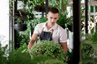 © NataliAlba - Boy apron attractive young cafe greenhouse flowers design interior lot many pots different plants portrait green people florists work garden leaves foliage part time man