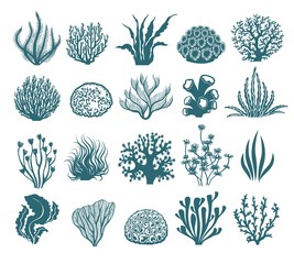 Wall Mural - Seaweeds and coral silhouettes. Vector aquarium algae graphic isolated on white background, sea underwater black and white plants