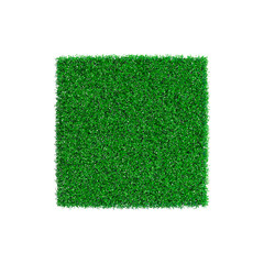 Wall Mural - Patch of grass in form of square. Vector illustration.