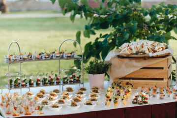 delicious cold snacks catering at the wedding party