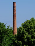 Fototapeta  - Wysoki ceglany komin wystający z lasu