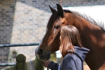profile of girl and horse together