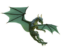 Green Dragon In A White Background