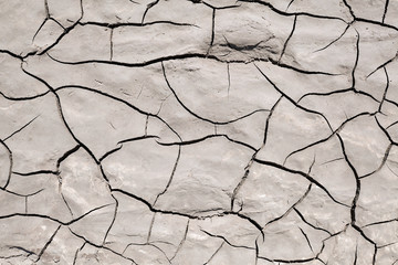 Wall Mural - The surface of the wet cracked earth