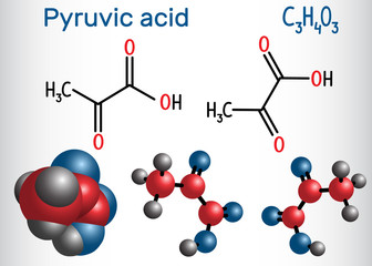 Poster - Pyruvic acid (pyruvate) molecule. It is the simplest of the alpha-keto acids. Structural chemical formula and molecule model