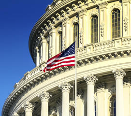 Wall Mural - Capitol Building, Washington DC