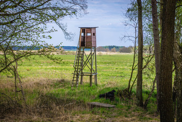 Canvas Print - Wooden hunting tower on a forest edge near Lubiatowo village located on the Baltic Sea coast in Poland