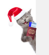Happy cat in red christmas hat holds airline tickets and passport behind white banner. isolated on white background