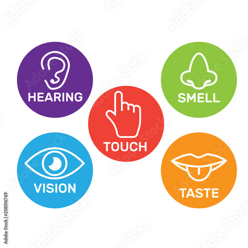 5 senses icon collection color. Five senses icon set Stock Vector ...