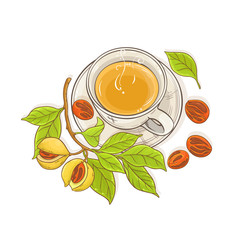 Wall Mural - nutmeg tea illustration